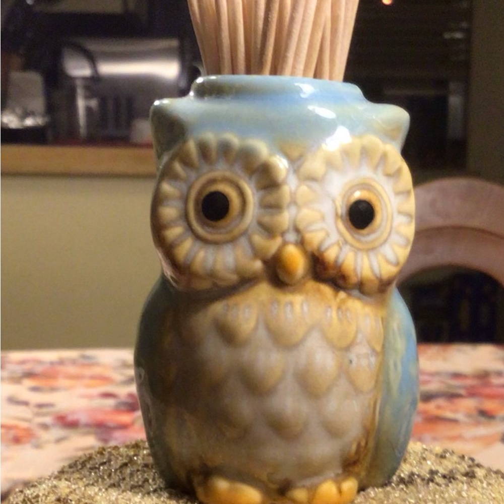 Adorable little Owl toothpick holder or tiny vase for itty-bitty flower!So Cute!